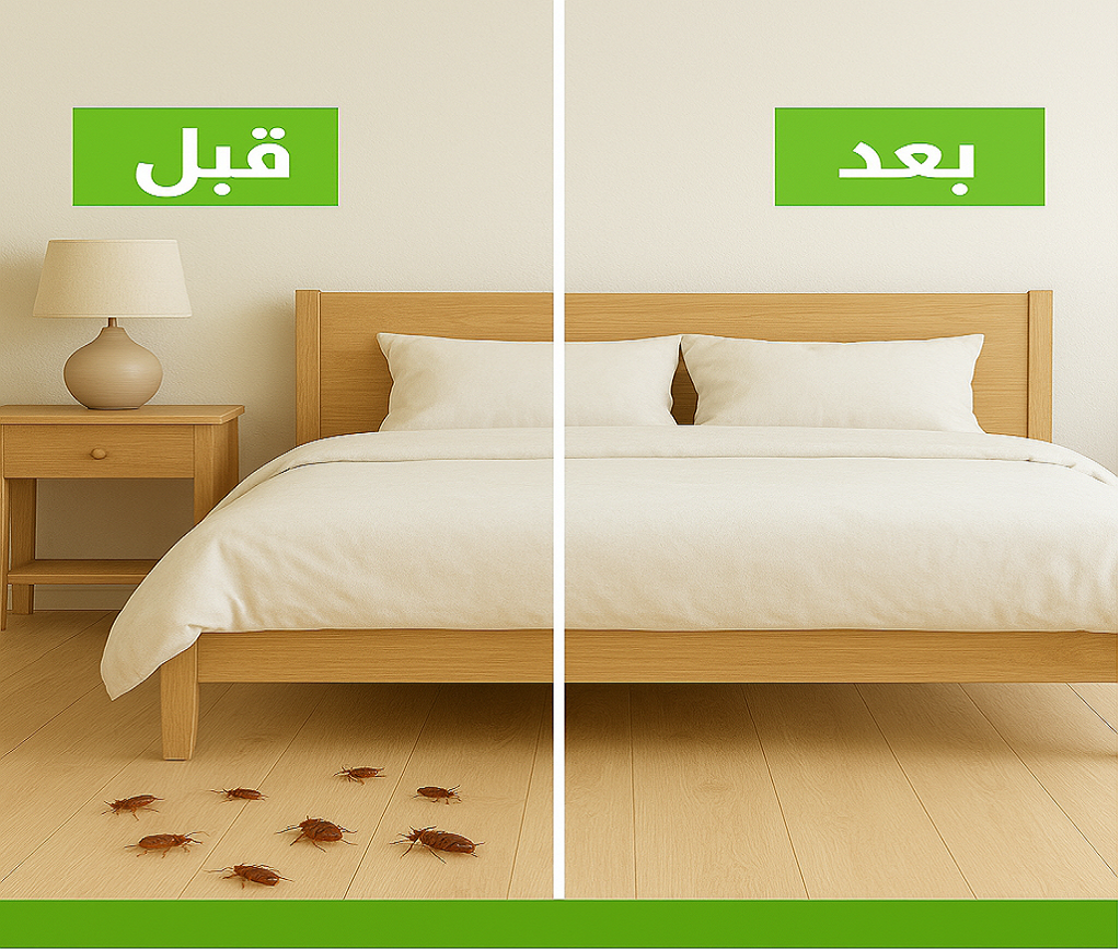 بقبل وبعد رش البق الكويت - منزل نظيف 100%