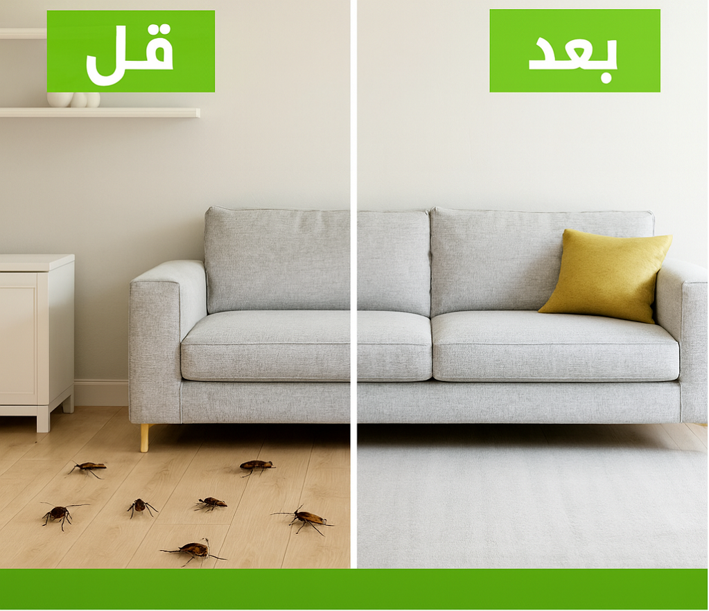  قبل وبعد رش الصراصير في الكويت - إصابة شديدة بالحشرات 